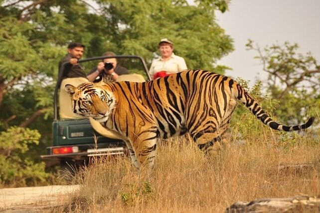 JIM CORBETT