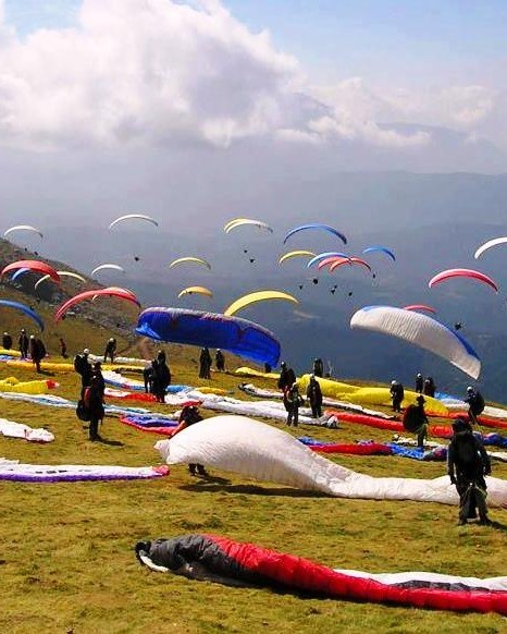 paragliding-in-bir-billing (2)